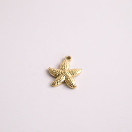 STARFISH CHARM 1